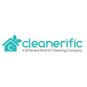 Window Cleaning Business