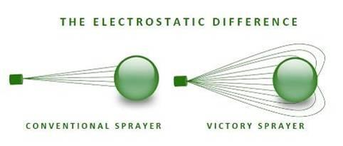 29389421_563456530691846_7982532719202533376_n