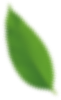 growth-close-up-environmental-lush-natural-copy-2