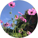 Joanna Bateman profile picture